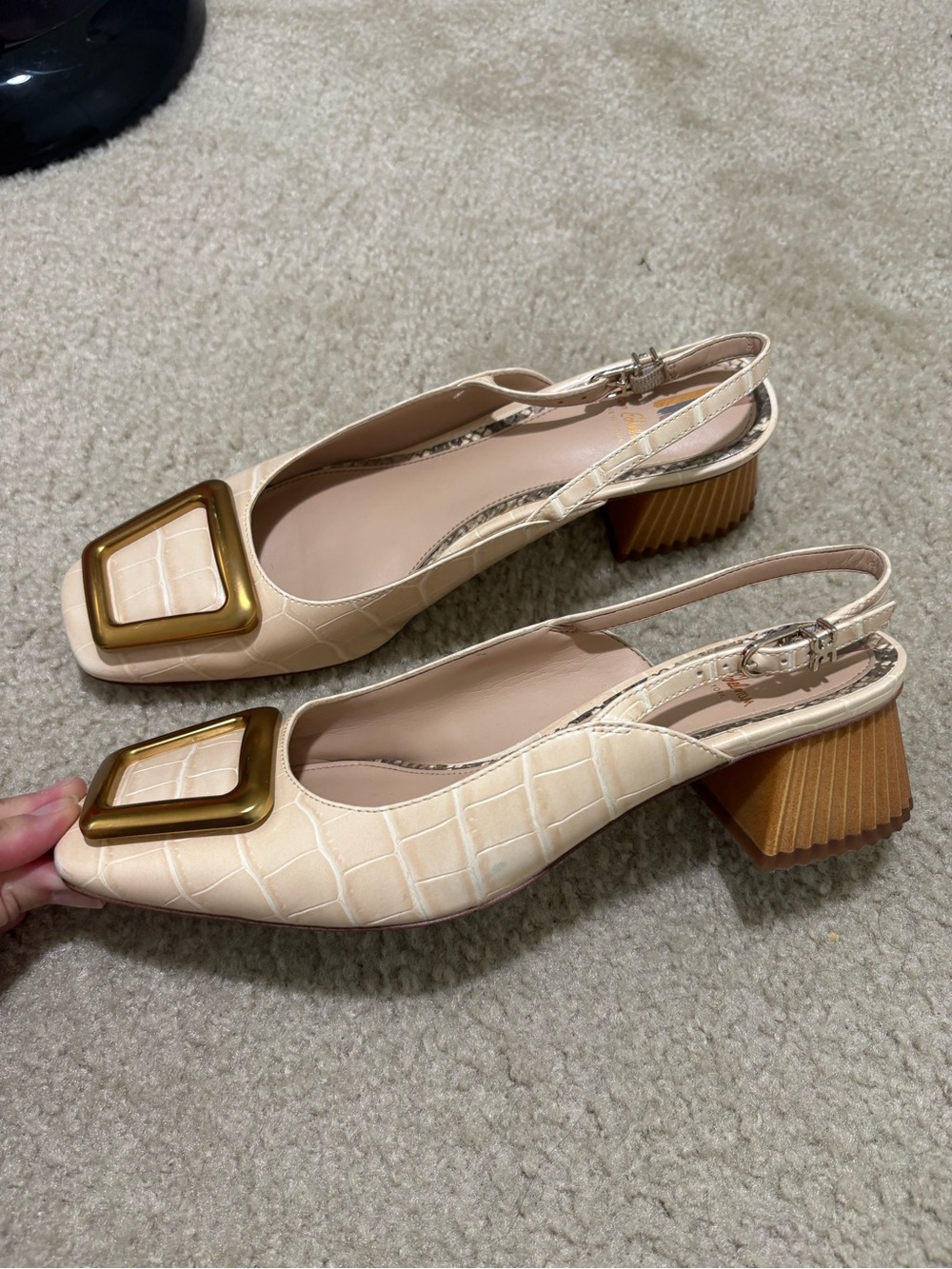 Sam Edelman Cream Croc-Embossed Slingback Block Heel with Gold Buckle